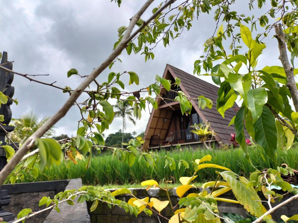 Magical Breeze Cabin Angsri Exterior foto
